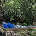B5 Ofir Fão
