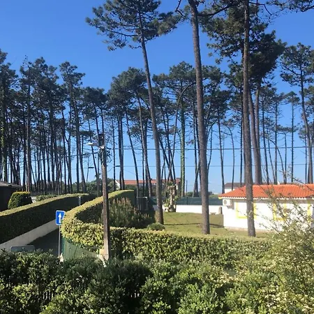 Vakantiehuis B5 Ofir