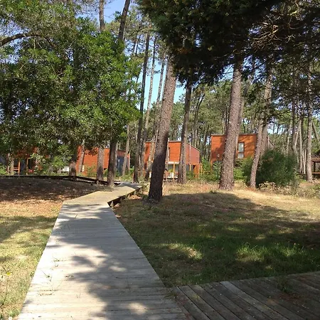 B5 Ofir