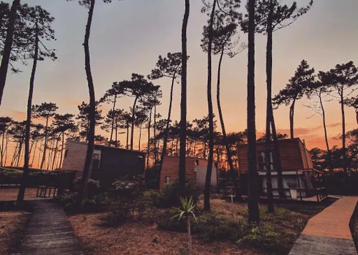 B5 Ofir Vakantiehuis Fão