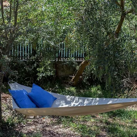 B5 Ofir Fão